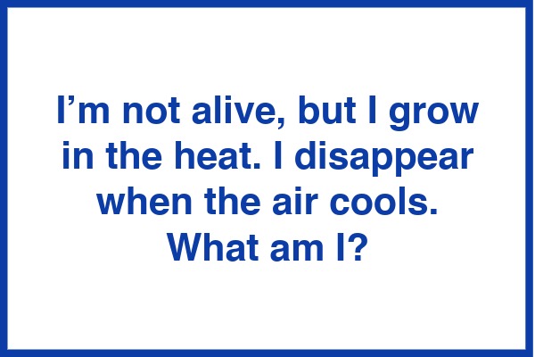 Riddle - What Am I?