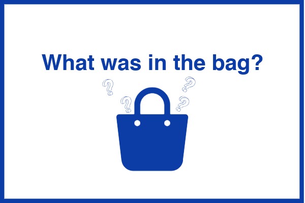 Beach Bag Observation Challenge