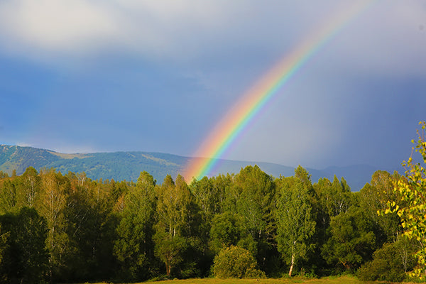 What do you find at the end of the rainbow?