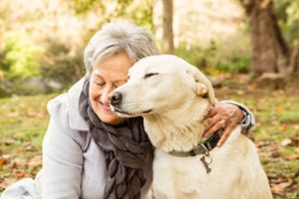 4 Brain Health Benefits of Owning a Pet