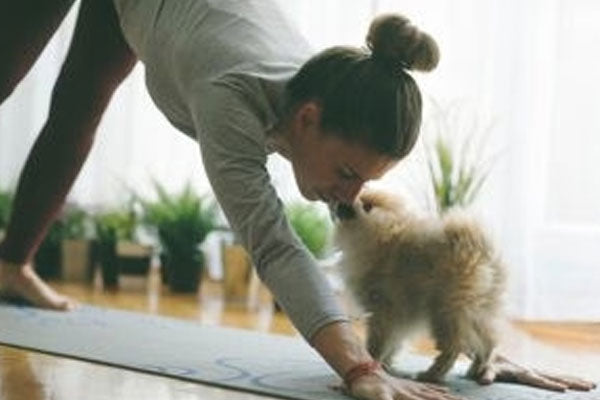 Fun Ways to Get Active with Your Pet