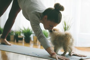 Fun Ways to Get Active with Your Pet